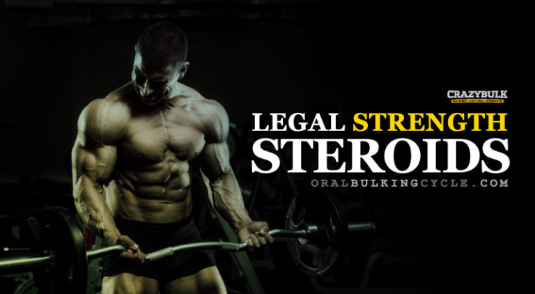 Steroid cycle year